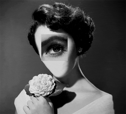 Animated digital collage