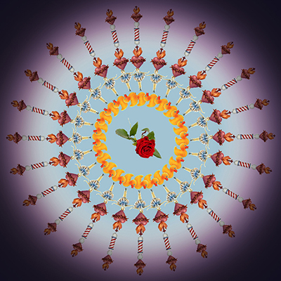  Film Still from spinning rose in Helen Judges Flash animation Oculus 