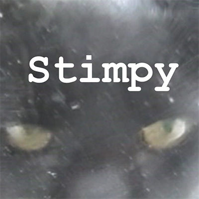 My cat Stimpy