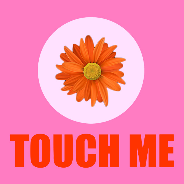 An orange daisy spinning on a pastel pink circle background above the text 'TOUCH ME' by artist Helen Judge.